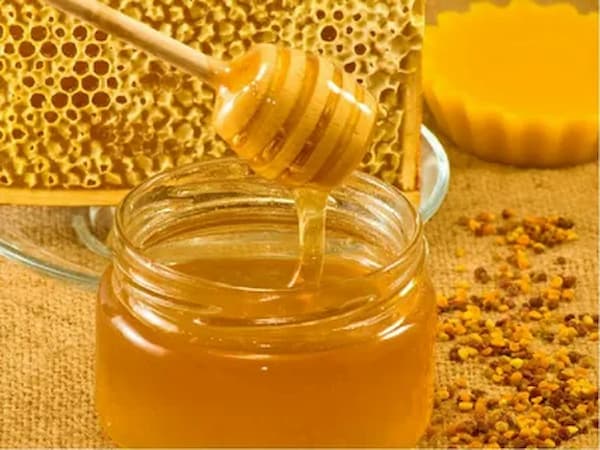 تصویر 2 از خرید عسل آویشن ارگانیک + قیمت فروش استثنایی